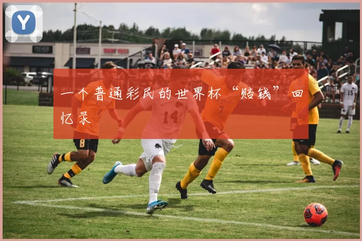 一个普通彩民的世界杯“赔钱”回忆录